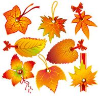 Autumn Label N2