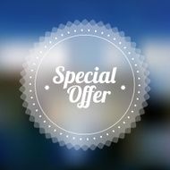 Vintage Sale Special Offer Sticker N5