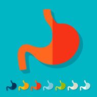 Flat design stomach N10