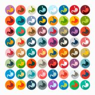 Flat design stomach N11