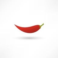 Icon of red hot chili pepper N11