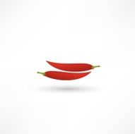 Icon of red hot chili pepper N13