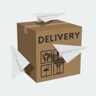 Vector package box and paper planes