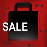 Sale bag N5