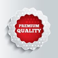 Premium quality glass star button