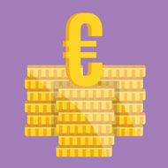 Vector Coin Stacks and Euro Sign Icon N2