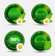 Natural Green Label Set Vector Illustration