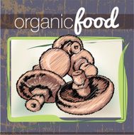 Organic Food illustration