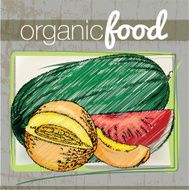 Organic Food illustration N2