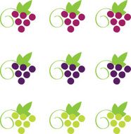 Bunches Of Grapes C
