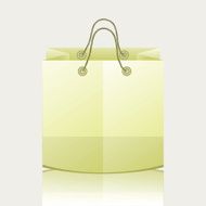 Paper Shopping Bag N9