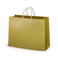 Shopping paper bag N8