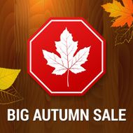 big autumn sale vector on wood background