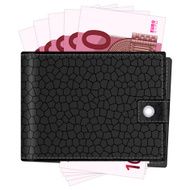 wallet with ten euro banknotes N2