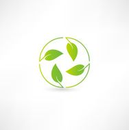 Leaf nature icon