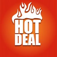 Deal of the day poster with bag vector illustration N3