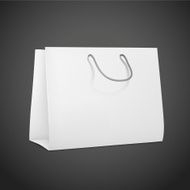 3d blank shopping bag N4