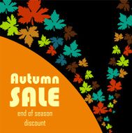 Autumn Sale N35