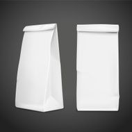 3d blank paper bag template