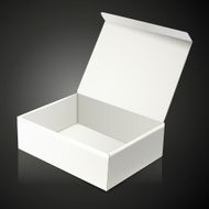 blank open paper box N3