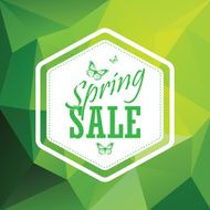 Green spring sale low polygonal background with vintage hexagonal badge