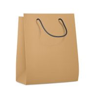 blank paper bag
