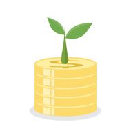 Growing tree on coins Earnings concept