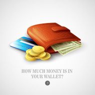 Purse with money credit cards and coins Vector illustration N3