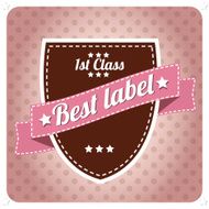 Vintage retro hipster label typography geometric design elements vector illustration N2