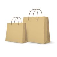 blank paper bags set in brown N4