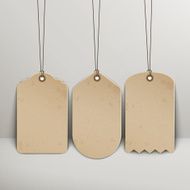 blank brown price tags N5