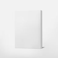 package white cardboard box isolated on N3