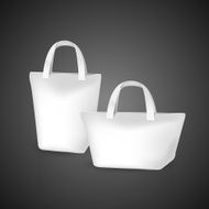 blank bags set N2