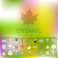 Menu of organic food Icons Web interface and mobile app N3