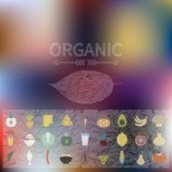 Menu of organic food Icons Web interface and mobile app N4