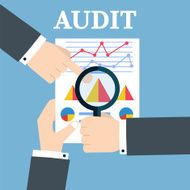 People examining economic statistic Financial examiner Vector