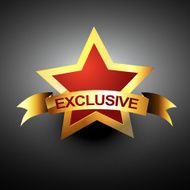 exclusive vector icon