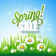 Caption discount surrounded by spring flowers Vector illustration N2