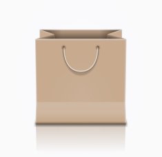 Brown Paper Bag N12