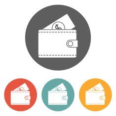 Wallet Icon N17