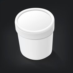 blank food plastic container N2