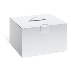 Package Cardboard Box with a handle N7