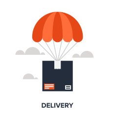 Delivery N20