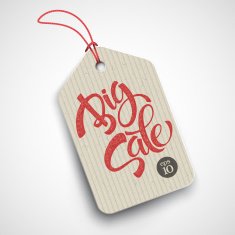 Big Sale Inscription Calligraphy Lettering Vector illustration N12