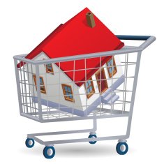 Shopping For House N2