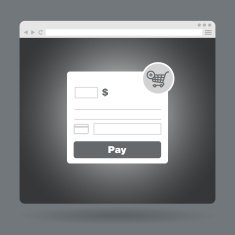 Flat browser window with form payment N2
