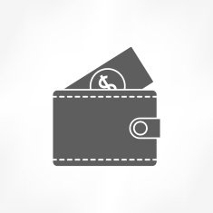 Wallet Icon N19