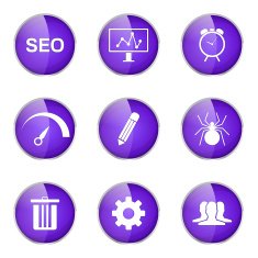 SEO Internet Sign Violet Vector Button Icon Design Set 8 N13
