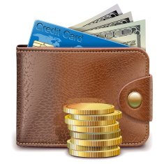 Vector Payment Concept