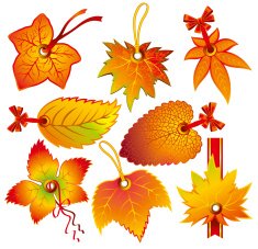 Autumn Label N2